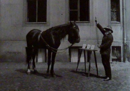 Hans lernt krumm und gerade photo