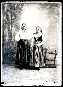 Heinrich Tiidermann - Kaks rahvariides neidu Tallinna ümbrusest