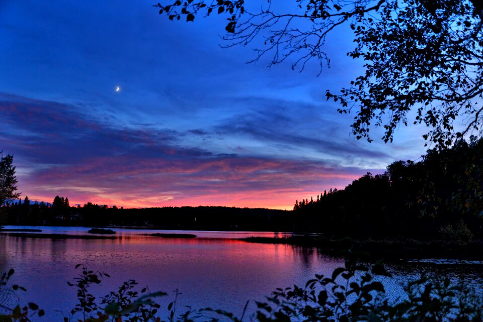 Evening nature sunset summer photo