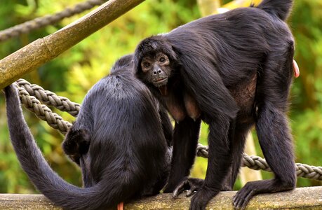 Cute animal world tierpark hellabrunn