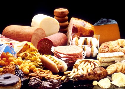 High Fat Foods - NCI Visuals Online photo