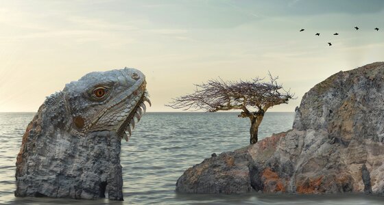 Reptile head nature