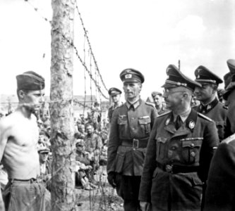 Himmler besichtigt die Gefangenenlager in Russland. Heinrich Himmler inspects a prisoner of war camp in Russia, circa... - NARA - 540164 photo