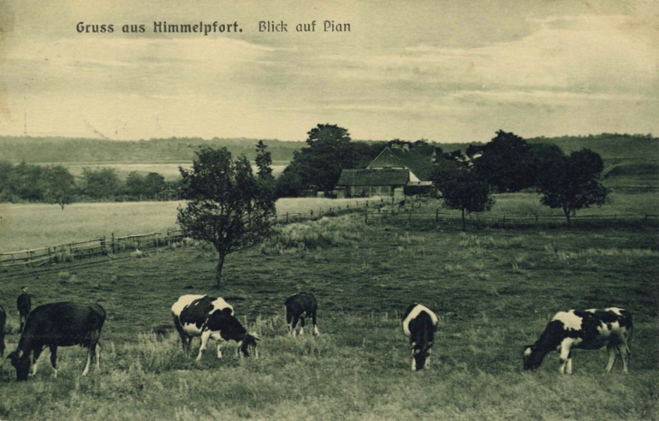 Himmelpfort, Brandenburg - Blick auf Pian (Zeno Ansichtskarten)
