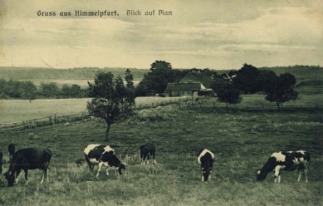 Himmelpfort, Brandenburg - Blick auf Pian (Zeno Ansichtskarten)