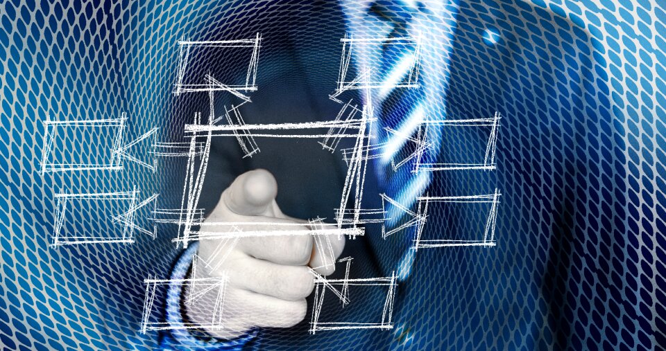 Organizational structure work process business administration