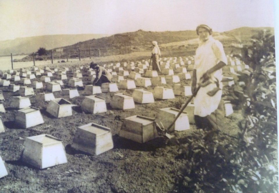 Historical images of Kinneret Farm P1180684