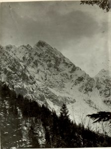 Hinterer Mooskofl (2510) von Norden. (BildID 15464172)