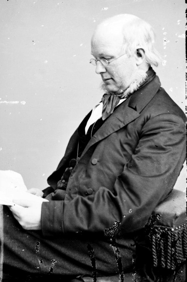 Horace Greeley - Brady-Handy