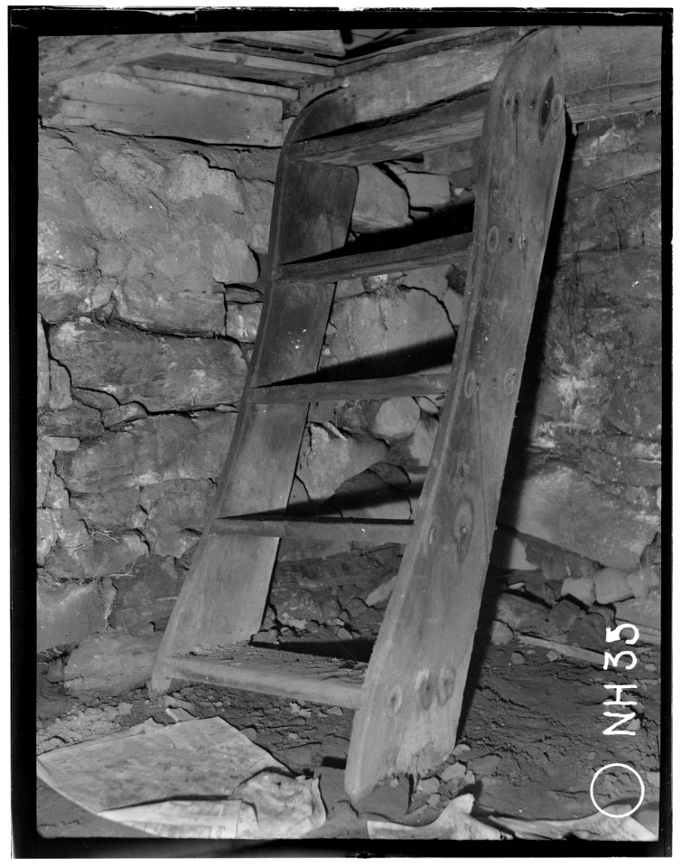 Historical American Buildings Survey L. C. Durette, Photographer STEPS TO KITCHEN CELLAR LEAN-TO - Colonel Paul Wentworth House, Dover Street (moved to MA, Dover), Dover, HABS NH,9-SALFA,1-36