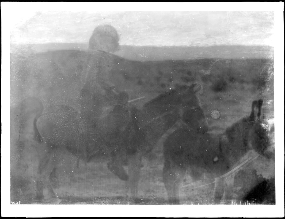 Hopi Indian riding donkey on his way to hoe his corn fields, near Walpi, Arizona, ca.1898 (CHS-4625)