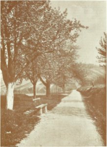 Honnef Bondorfer Straße 1913