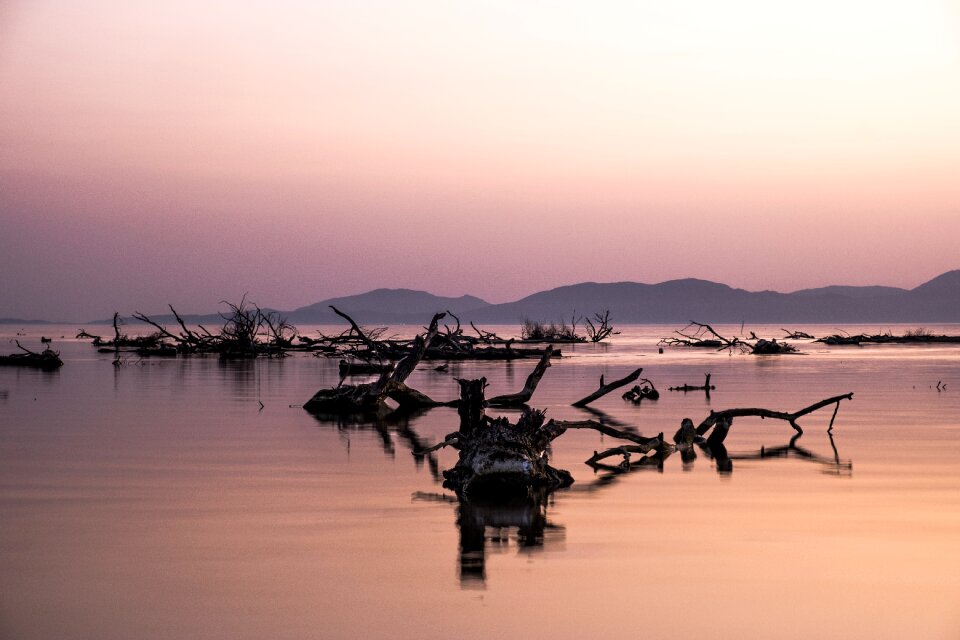 Logs colors landscape
