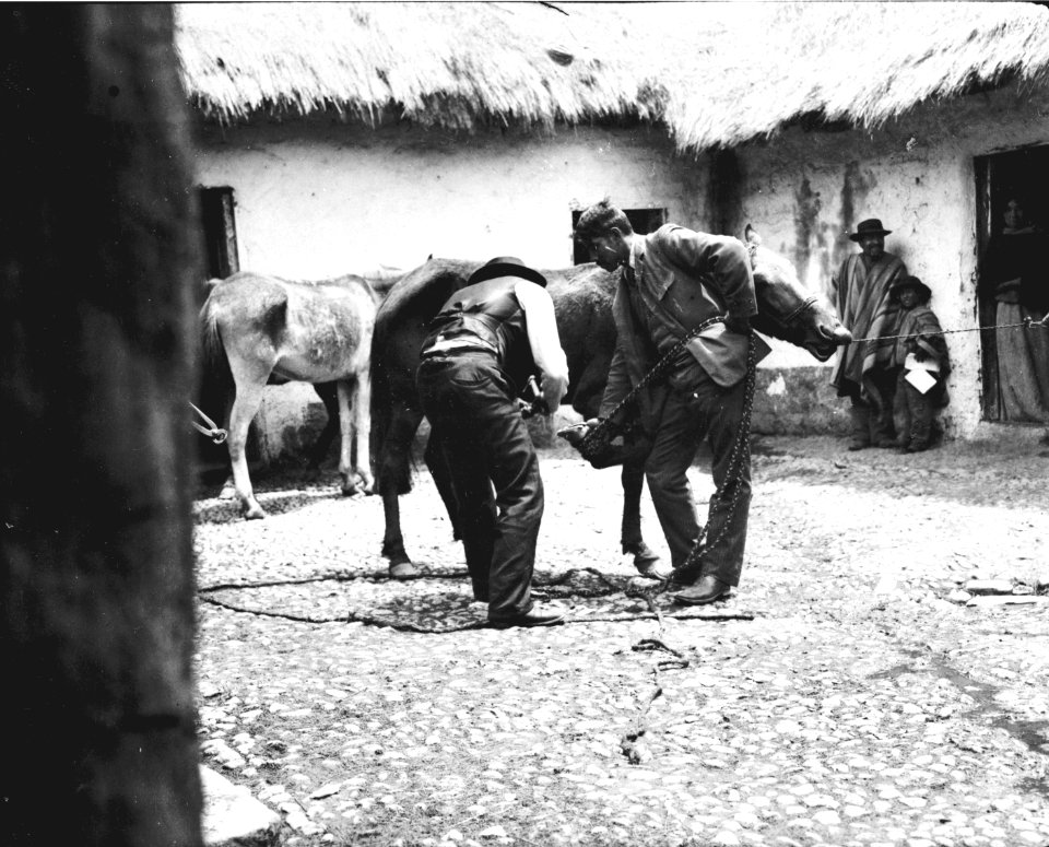 Hovslagning. Macusani. Peru - SMVK - 002500
