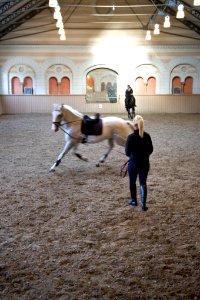 Hovstallet, Reportagebild - Livrustkammaren - 86662