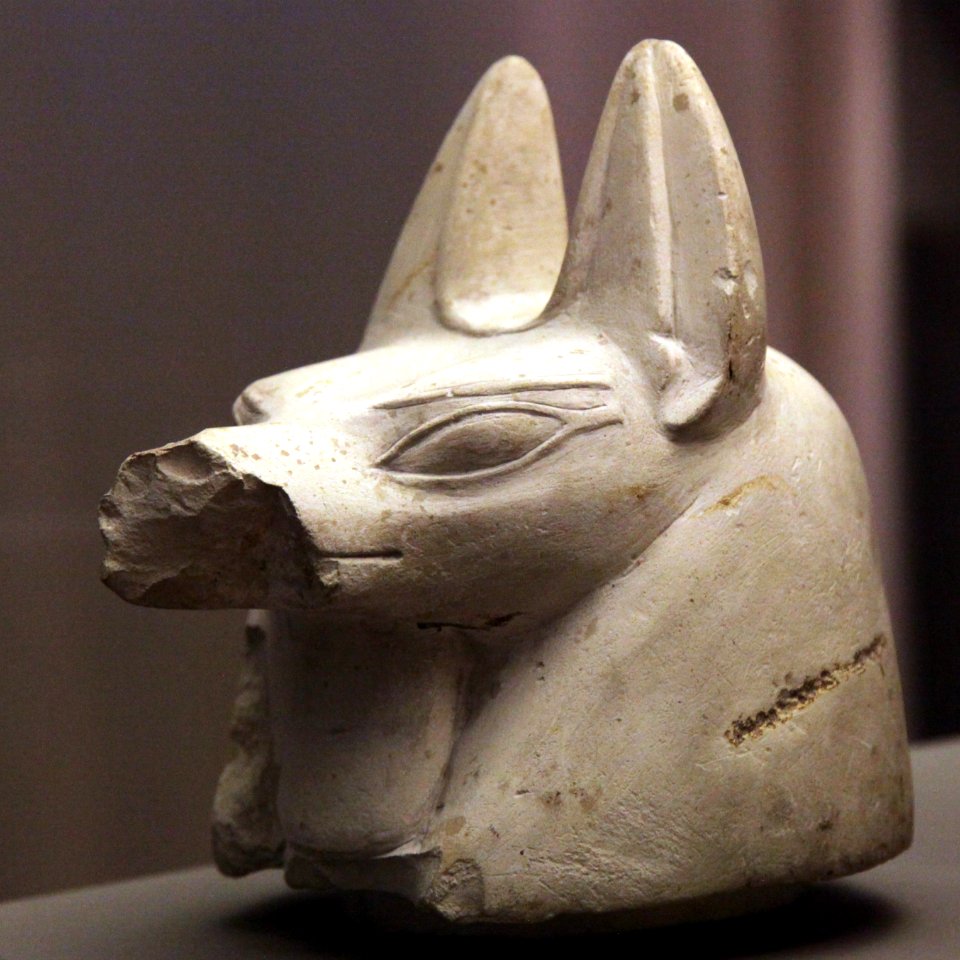 Hound-shaped canope plug-MAHG D 499-IMG 9873