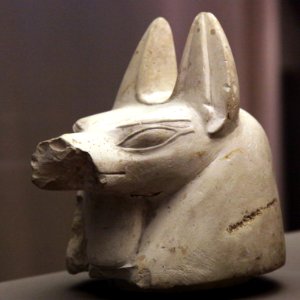 Hound-shaped canope plug-MAHG D 499-IMG 9873