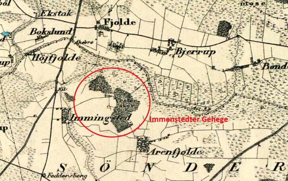Immenstedter Wald Generalstab 1857