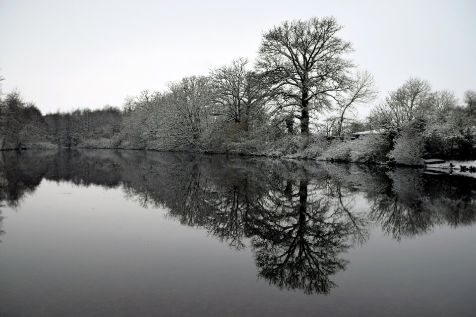 Lake nature freezing winter
