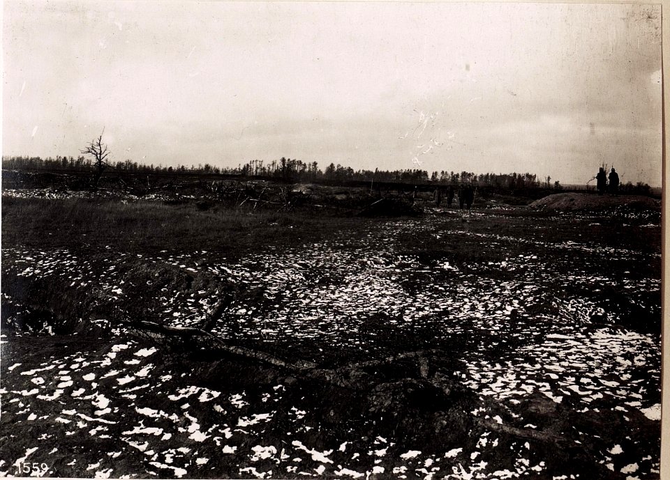 Infanteriestellungen bei der 2.Inftr.Div. (26-III.1918.) (BildID 15713930)