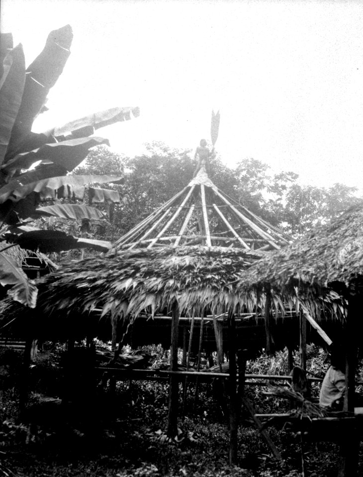 Indianhydda av runda typen bygges. Jfr. foto 4058. Choco. Colombia - SMVK - 004059