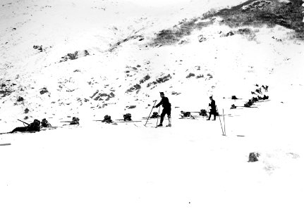 Infanteristen mit Skiern in Feuerlinie - CH-BAR - 3239335