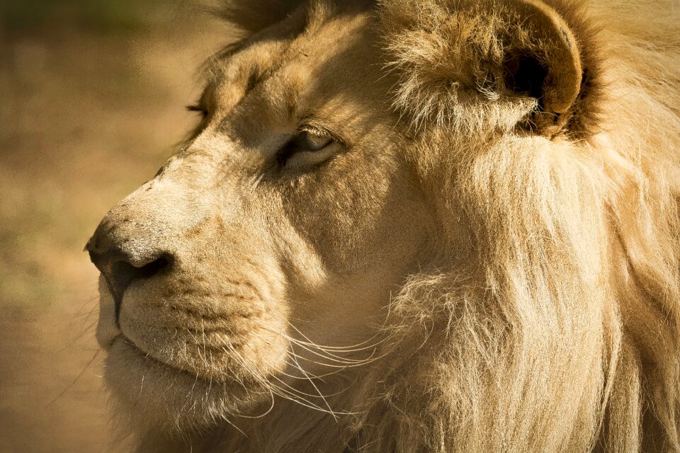 Close up portrait beautiful