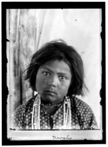 INDIANS, AMERICAN. NAVAHO LCCN2016866711 photo