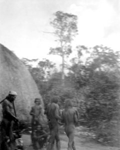Indianmän med musikinstrument. Rio Curumbiara. Brasilien - SMVK - 005616