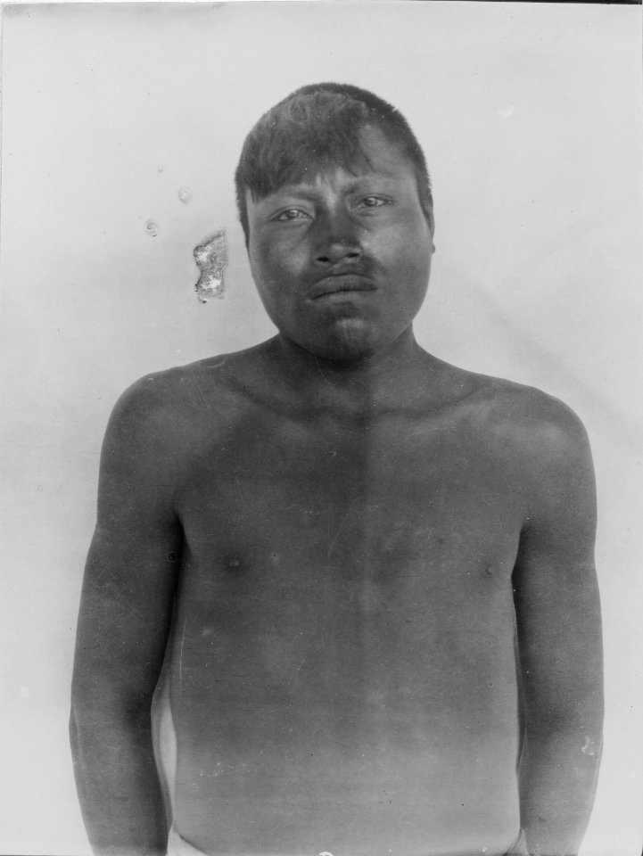 Indiantyp, en face. Esperanza sockerfabrik, norra Argentina. Sydamerika - SMVK - 004864