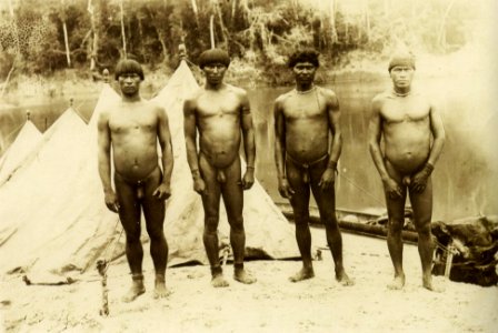 Indios para 1894 00
