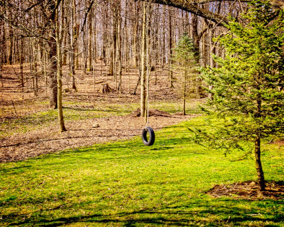 Trees artistic art print