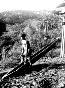 Indian slår på kanotformad trumma. Jfr. 4045. Erh, Från Erland Nordenskiöld 1928. Chocó. Colombia - SMVK - 004046 photo