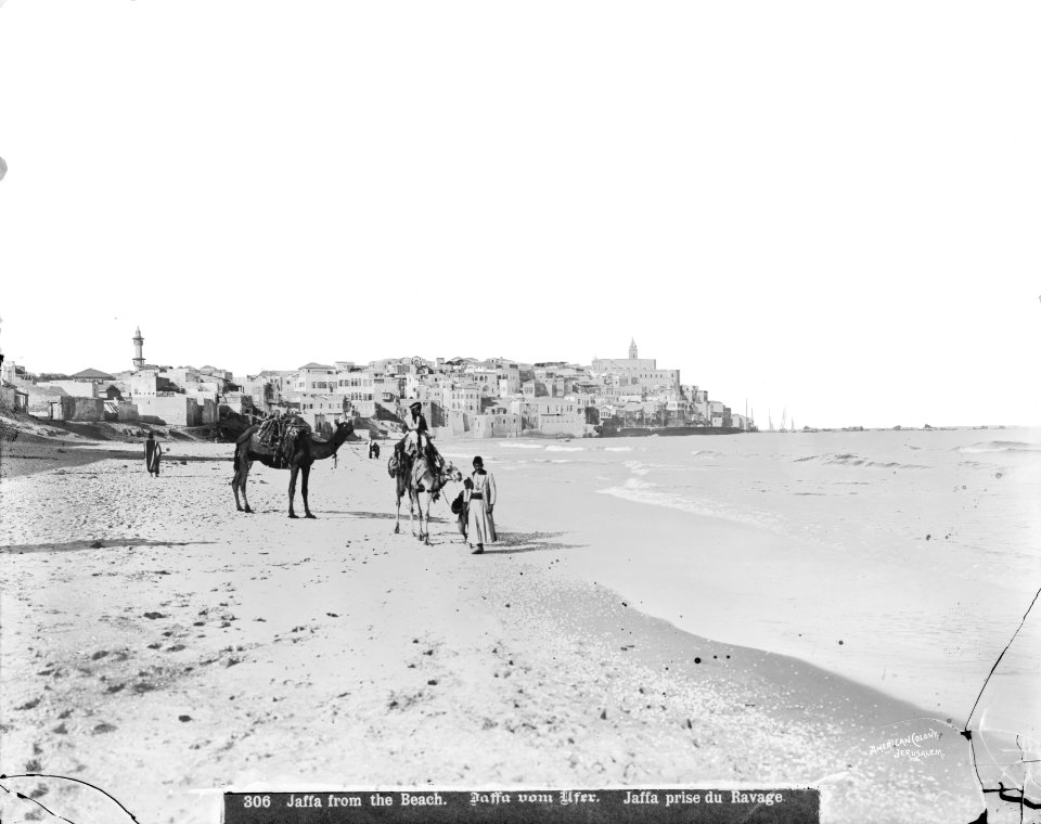 Jaffa (Joppa) and environs. Jaffa from the north beach LOC matpc.06519