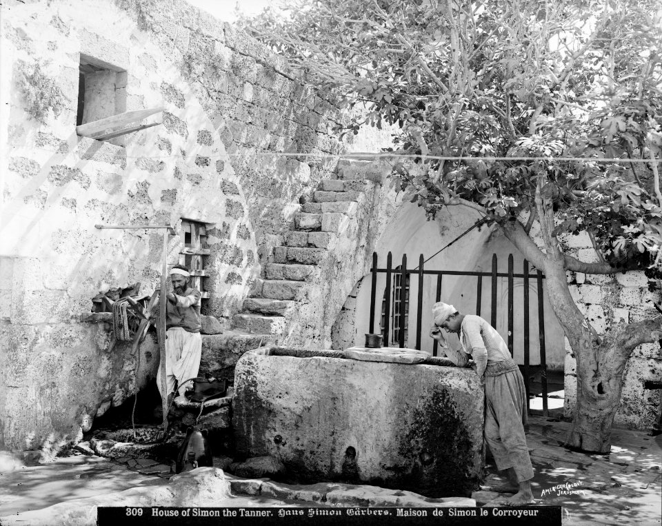 Jaffa (Joppa) and environs. House of Simon the Tanner LOC matpc.06522