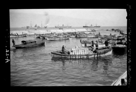 Jaffa orange culture. Coasting boat being loaded with oranges LOC matpc.22576