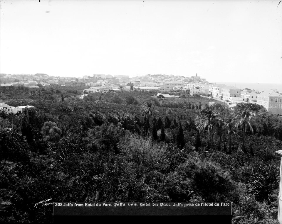 Jaffa (Joppa) and environs. Jaffa from the Hotel du Parc LOC matpc.06521