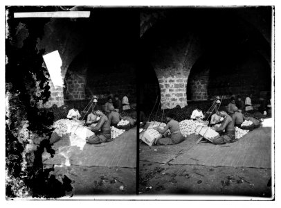 Jaffa orange culture. Orange packing house LOC matpc.07616