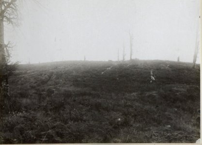 Jagodnja und Kuppe westlich davon aqufgenommen von der Höhe der Jagodnja V.Ort der Batteriestellung SO. (BildID 15660721)