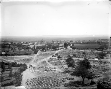 Jaffa (Joppa) and environs. General view of Ramleh (Arimathea) LOC matpc.06529