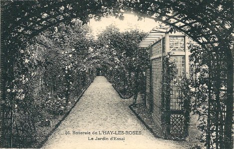 L'Haÿ-les-Roses-FR-94-vers 1925-La Roseraie-08 photo
