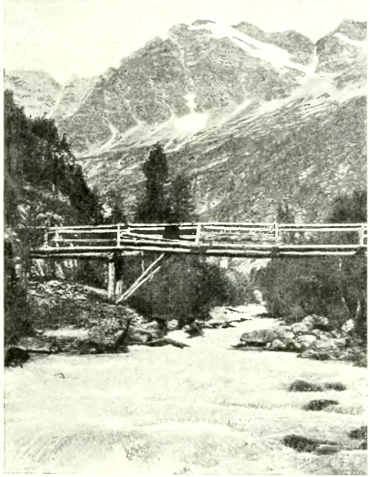 L'Ossola di Carlo Errera (page 21 crop)