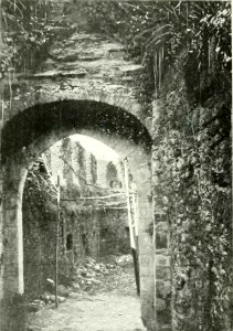 L'Ossola di Carlo Errera (page 110 crop)