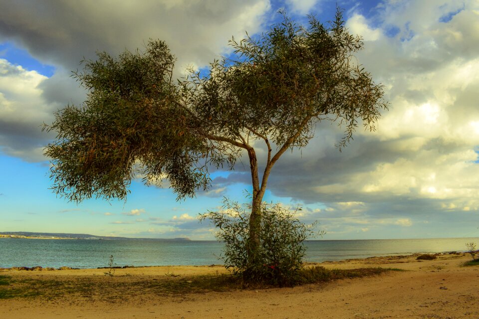 Beach sea landscape