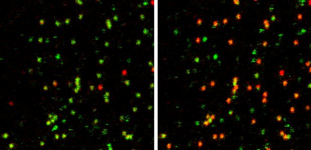 JILA Study of RNA Dynamics May Help in Drug Design (5940486989)