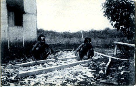 JRD - Timor Português – Carpinteiros indigenas