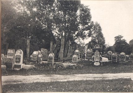 Judenfriedhof in Wladimir Wolinsky (BildID 15694090)