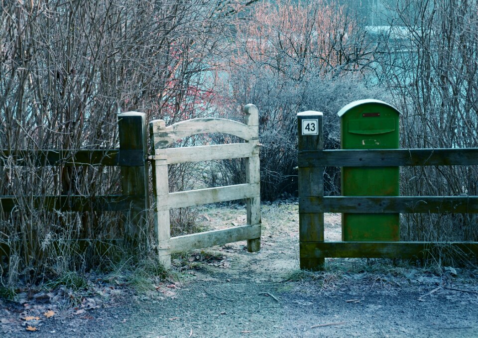 Home white nature