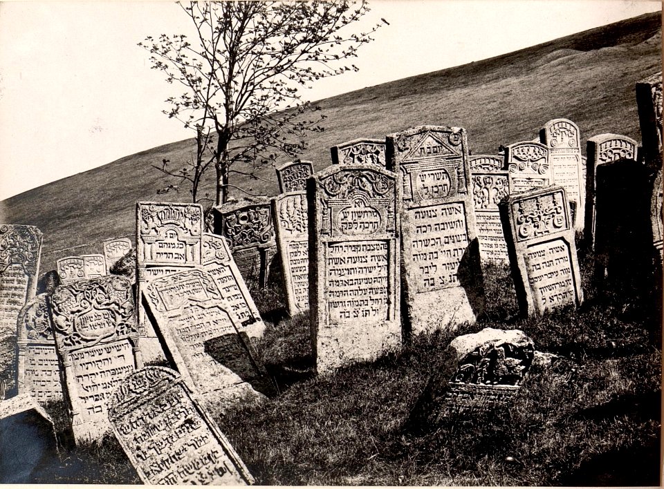 Jüdischer Friedhof in Narajow (BildID 15530025)