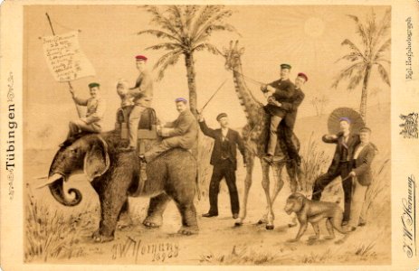 JW Hornung - Savanne 1896 (EFM043)